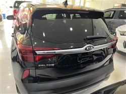 کیا سێلتۆس
